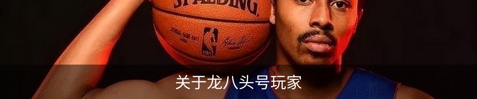 关于龙八头号玩家